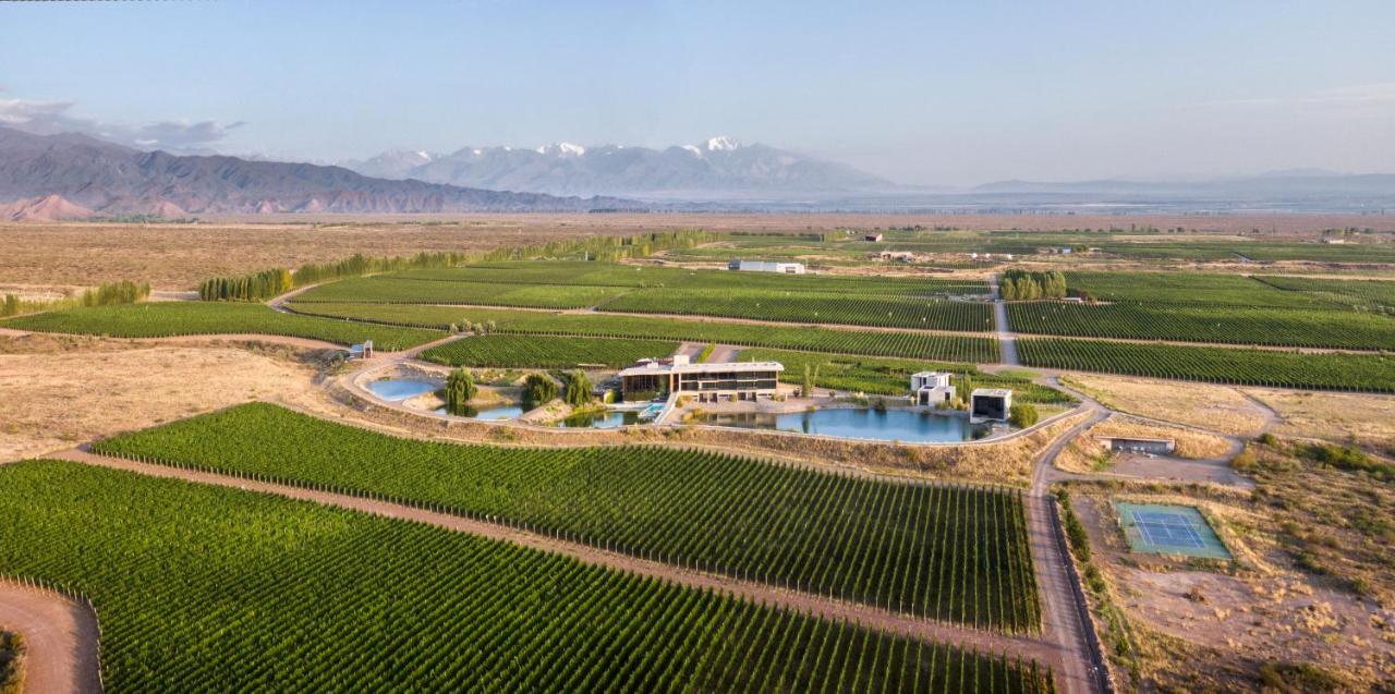 Casa de Uco Vineyards&Wine Resort Los Árboles Exterior foto