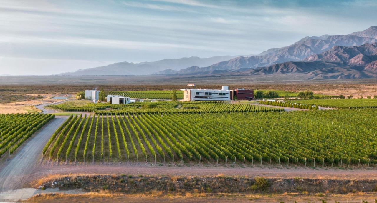 Casa de Uco Vineyards&Wine Resort Los Árboles Exterior foto
